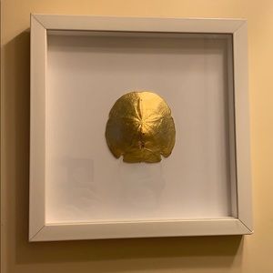 Gold Sand Dollar Wall Art